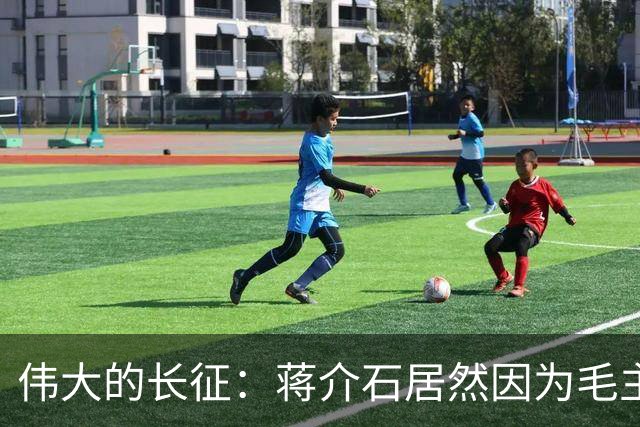伟大的长征：蒋介石居然因为毛主席重新领导红军而食不下咽……